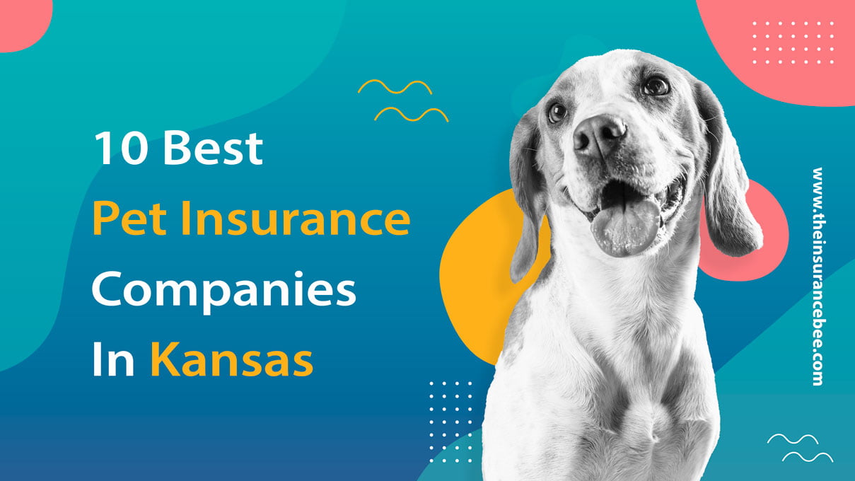 10 Best Pet Insurance Companies in Kansas