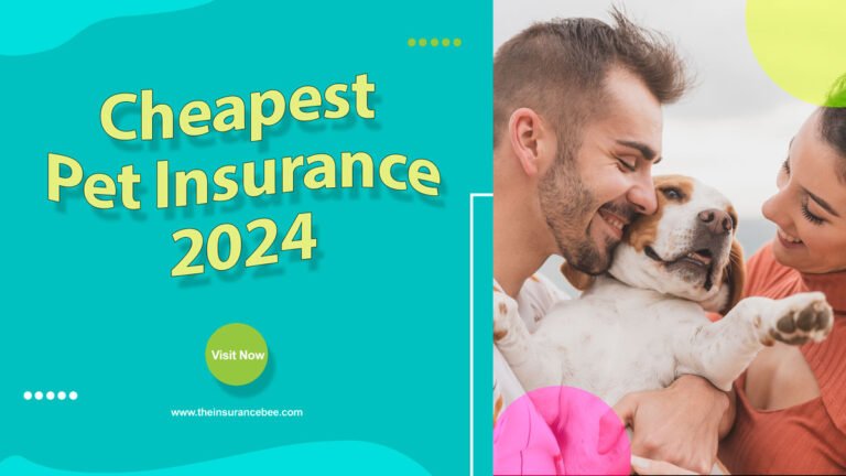Cheapest Pet Insurance